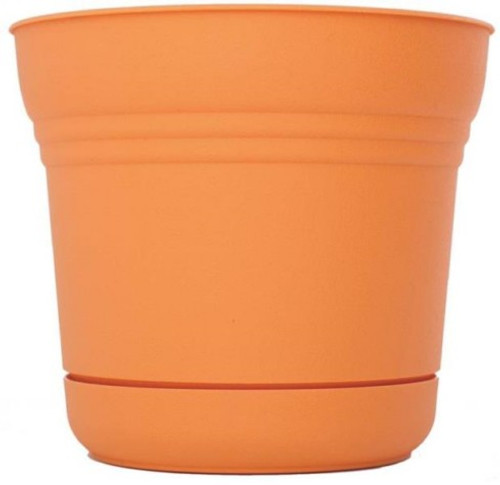 Planter With Saucer- 7"- Tequila Sunrise