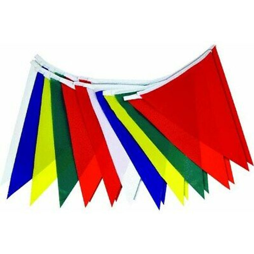 Pennant Flags- Multi-Color- 50''