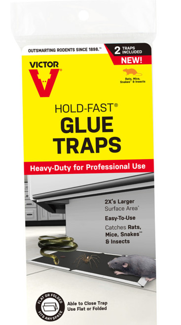 Hold Fast- Glue Rat Trap- 2 Pack