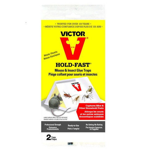 Hold Fast- Mouse & Insect Glue Board Trap- 2 Pack