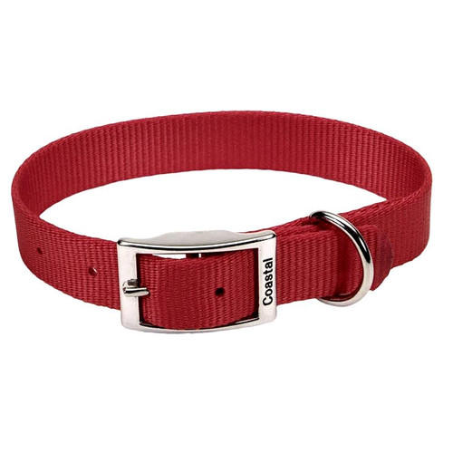 Dog Collar- Red- 1" x 24"- Nylon