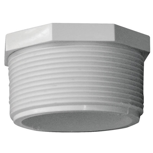SCH 40- 2"- Plug- Threaded