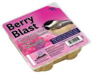 Suet Cake- Berry Blast- 11.25 Oz