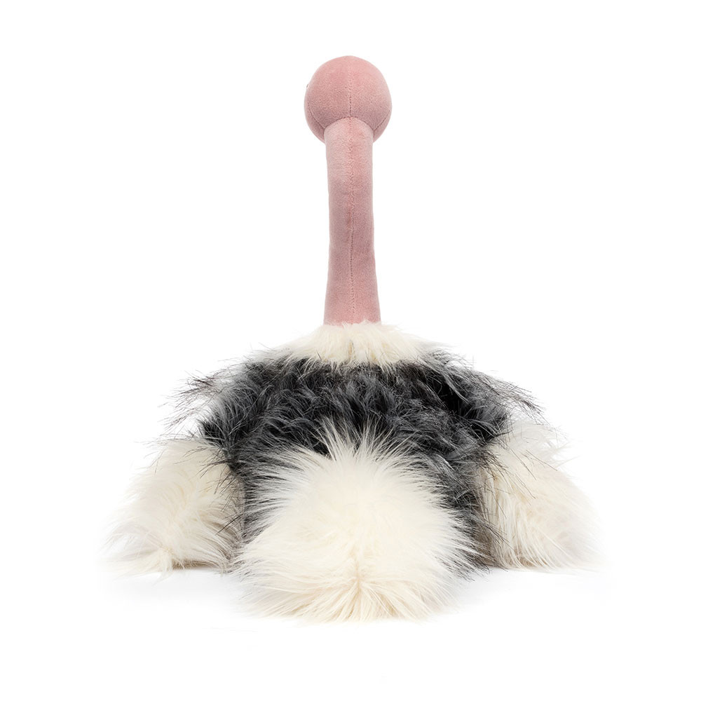 Ramonda Ostrich, View 3