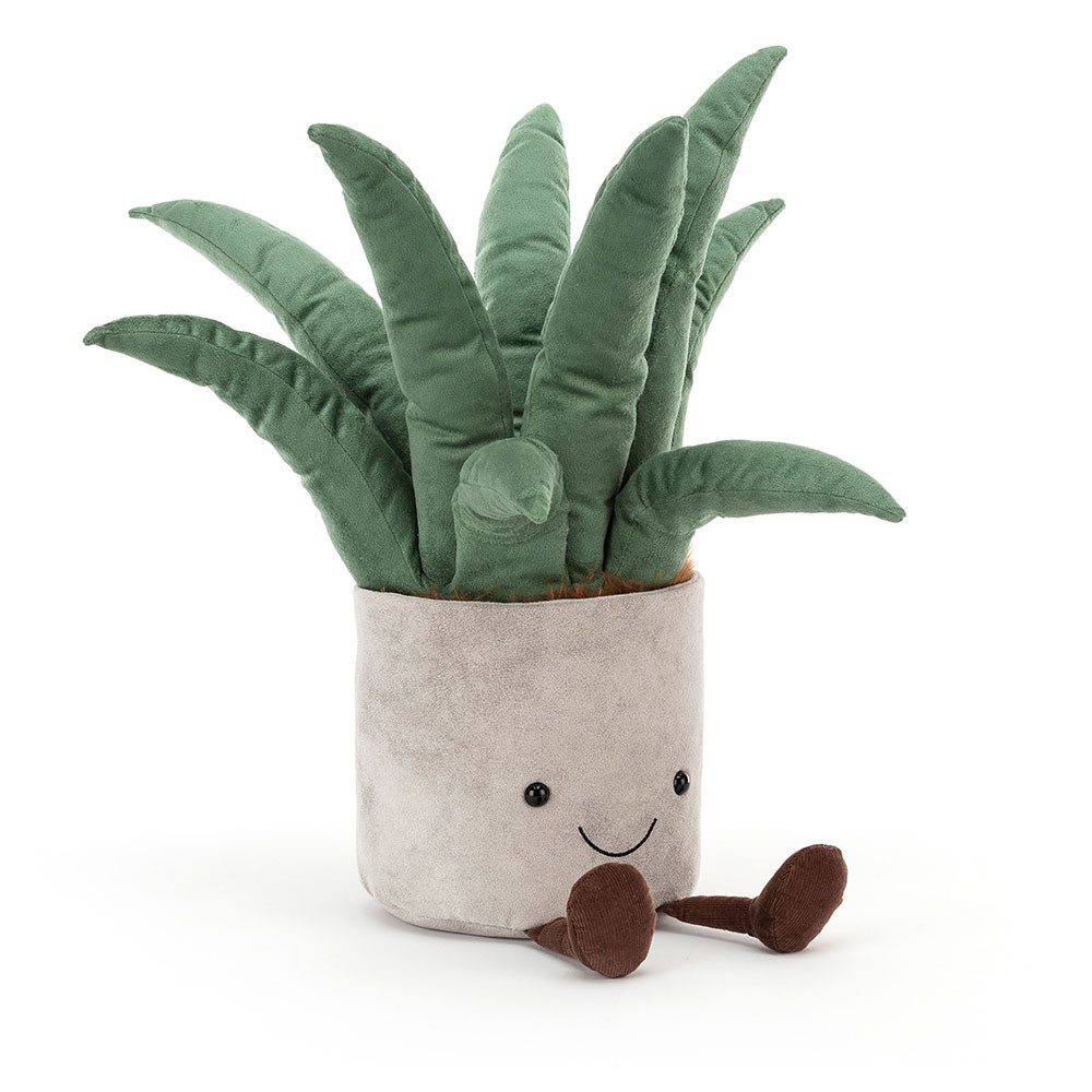 bogenhanf hydrokultur Hydro Kingsize Sansevieria Zeylanica, 70-80cm – Green Me Up main image 0