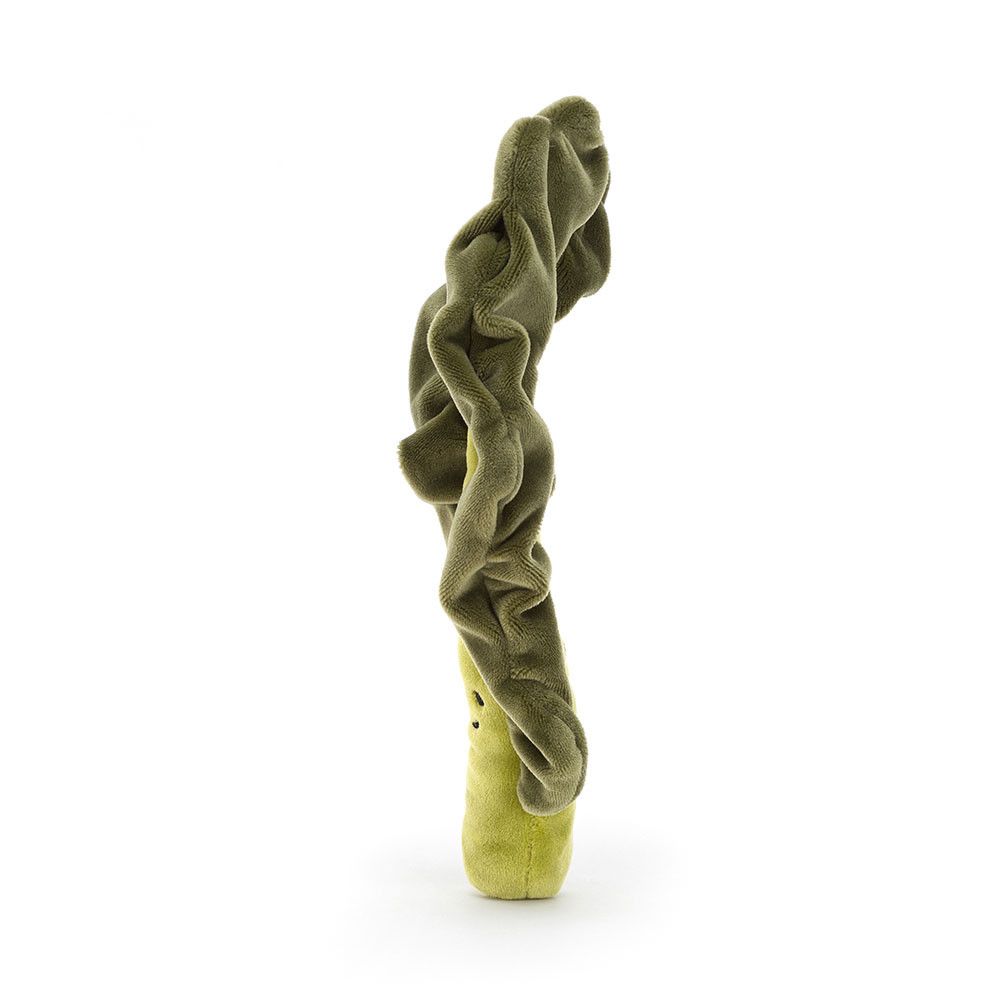 Vivacious Vegetable Kale Leaf, Main View