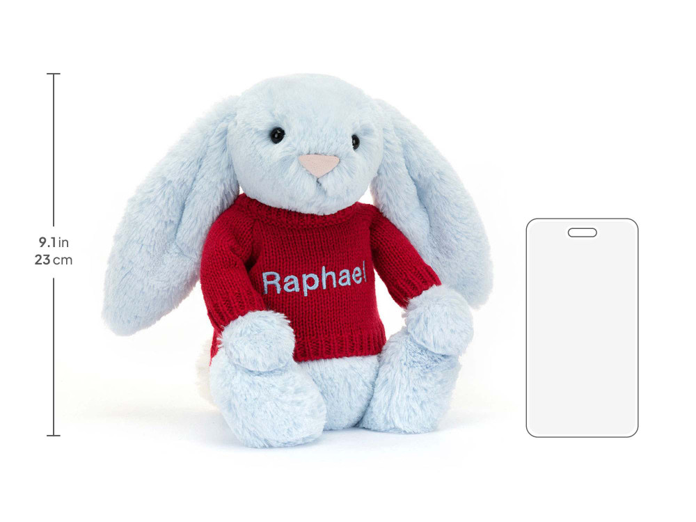 Bashful Blue Bunny with Personalized Red Jumper, size chart