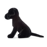 Pippa Black Labrador, View 2