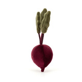 Vivacious Vegetable Beetroot, Main View