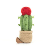 Amuseables Moon Cactus, View 2