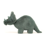Fossilly Triceratops, View 1