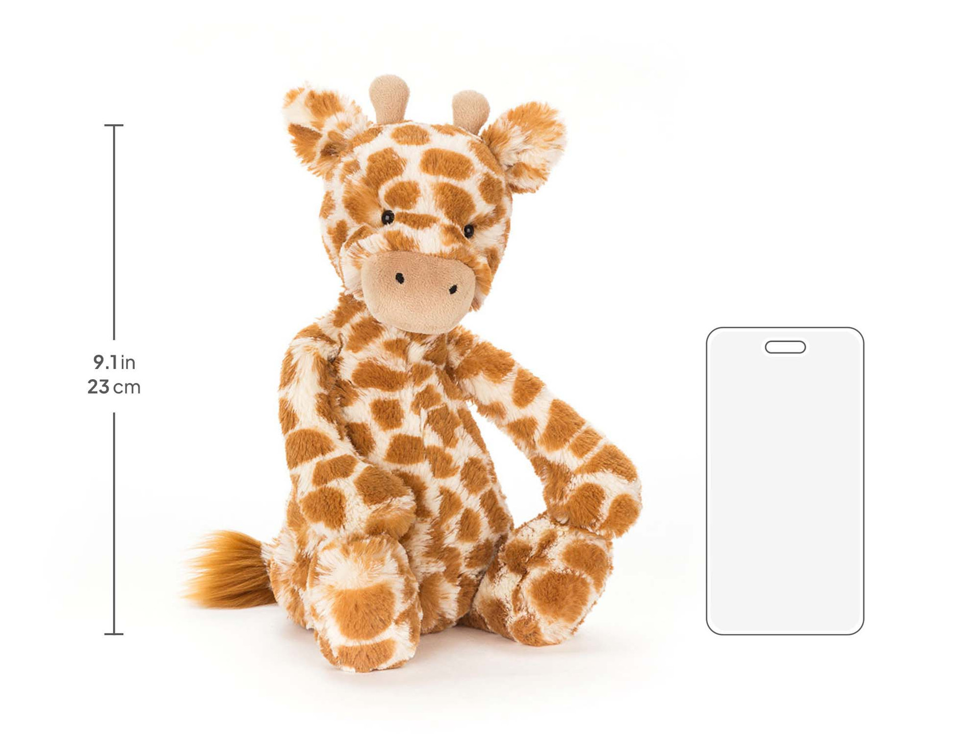 Bashful Giraffe - Official Jellycat