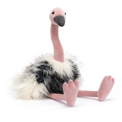 Ramonda Ostrich, Main View