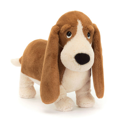 Randall Basset Hound, Main View