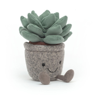 Silly Succulent Azulita, Main View
