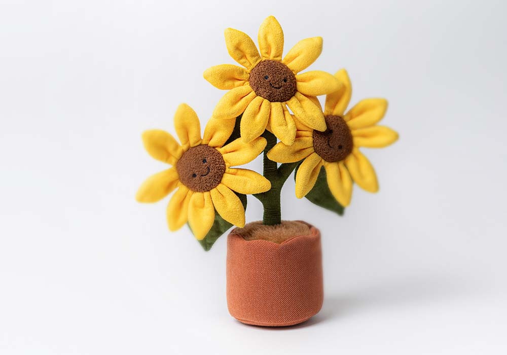 Gifts for Plant Lovers