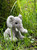 Cuddle Cub Elephant