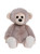 A grey plush monkey teddy bear sits upright against a white background, featuring large black eyes, a beige muzzle, and cream-coloured paws and feet.