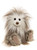 A fluffy, shaggy teddy bear with wild white and grey-brown fur, black bead eyes, and a brown velvet nose sits upright against a white background.