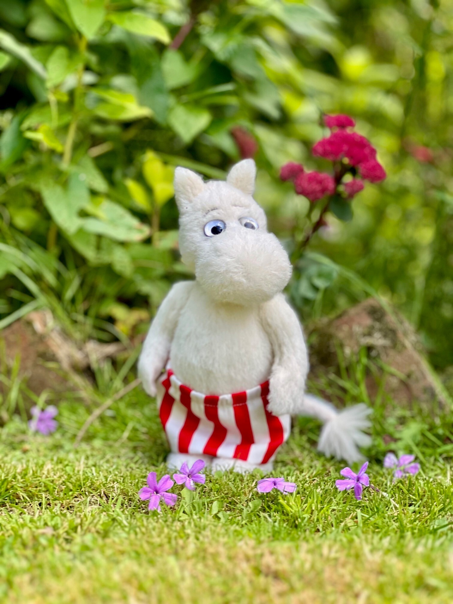 Introducing Moominmamma
