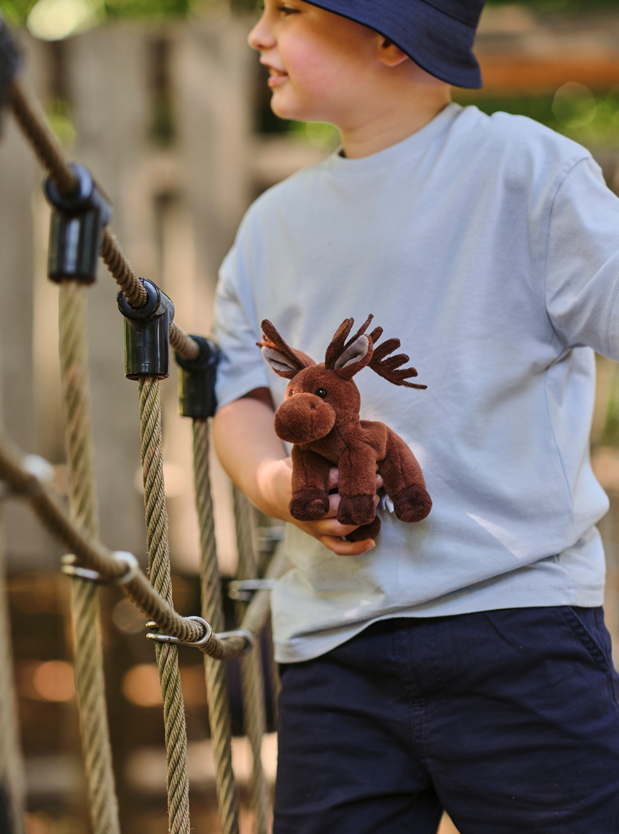 Meet Cuddle Cub Irish Elk