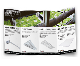 LED Quad-Fold Brochure LED Quad-Fold Brochure