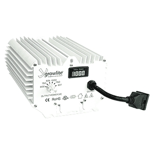 1000W Ballast