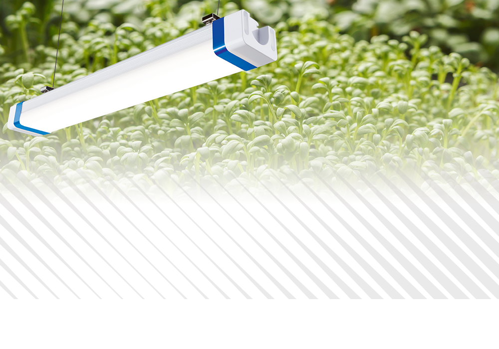 Germinator Grow Lights