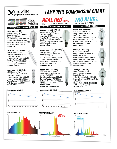 Lamp Type Comparison Lamp Type Comparison