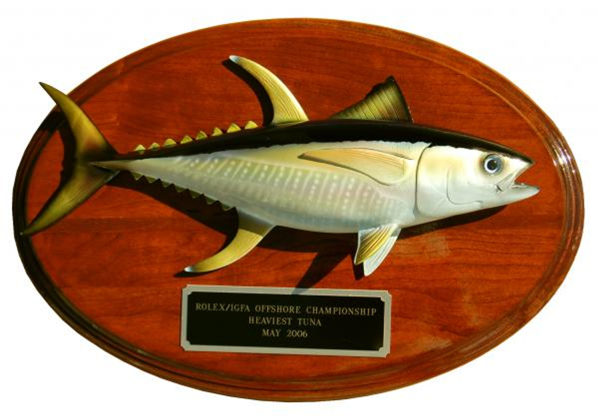 Tuna fishing trophy, award, winner, biggest fish fishing event, & your  engraving