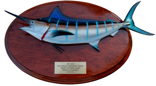 Blue Marlin Trophy Fish Mount