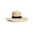 cat5.png cat5.png