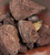 Dragon's Blood Superior Resin