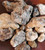 Mayan Copal Resin