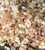 Ancient Bethlehem Blend