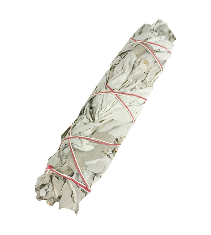 Protection Smudge (Lg) White Sage