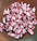 Greek Monastery Rose Blend