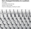 Ion charged bristles & cushion