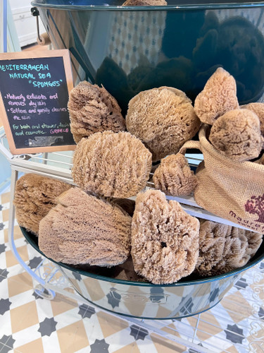 Greece Nature Sea Sponge 