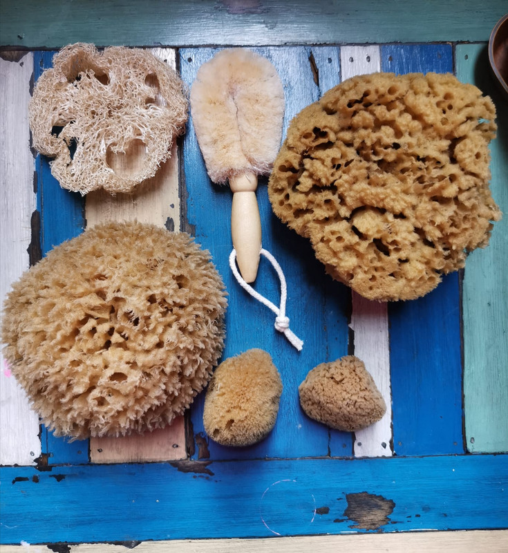 Natural Sea Sponge, 1 each at Whole Foods Market