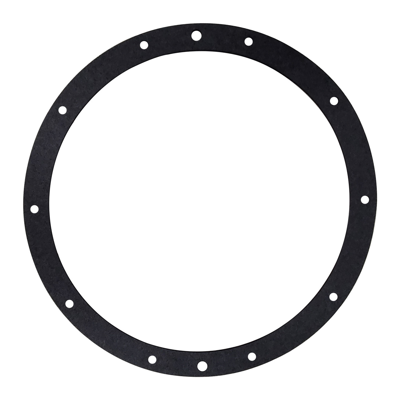 Pentair Gasket CN5LH Large Hole 79202400 - EZ Pool & Spa Supply