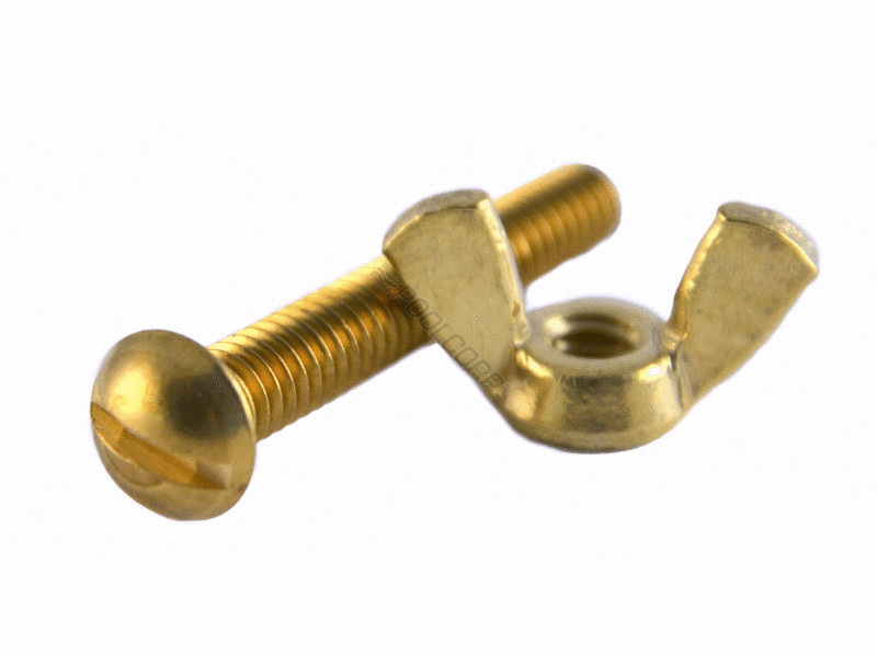 Pentair #155 Brass Bolt & Wing Nut, R221156 - EZ Pool & Spa Supply