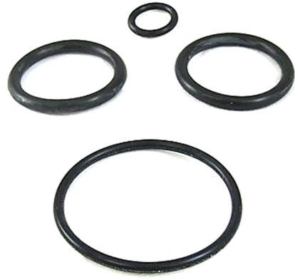 ゆぴ Pentair Kit O-Ring Replacement Valve Push Pull, 263054 - EZ Pool