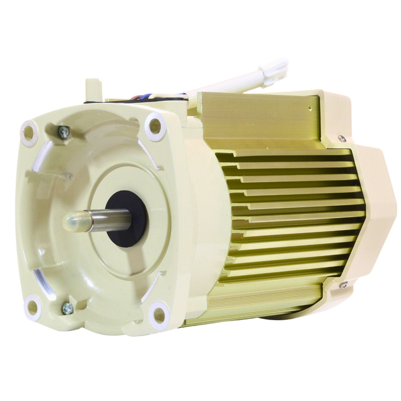 砂金(12) Pentair 1.5 HP Variable Speed Pump Motor, Without Drive, 115/208