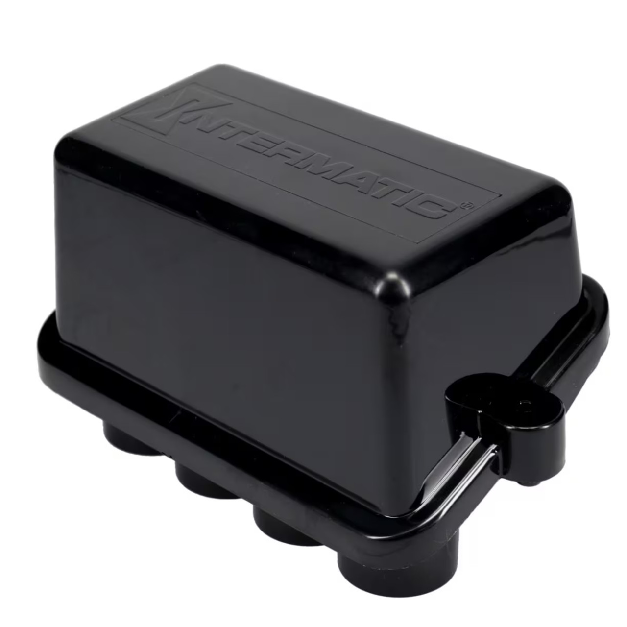 Intermatic Plastic Rectangular 4-Light Connection Pool/Spa Light ...