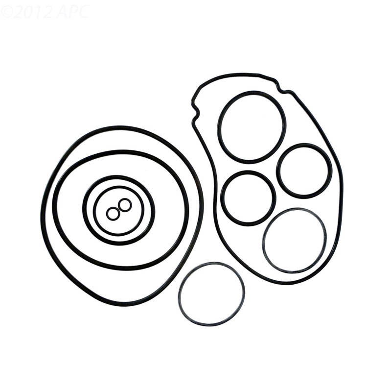 Zodiac Jandy JHP/PHP Series O-Ring Set, R0556500 - EZ Pool & Spa