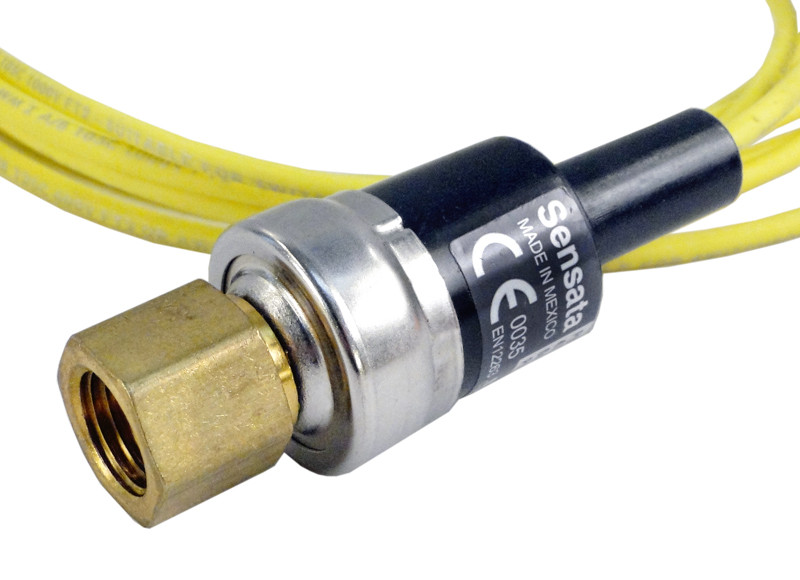 Raypak Pressure Switch