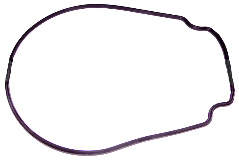 APC Zodiac Gasket, Pump Body JHP-PHP Series, R0555900 - EZ Pool