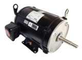 Pump Motors