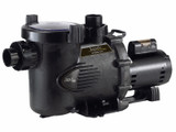 Jandy Stealth High Pressure Up-Rated 2-Speed Pump